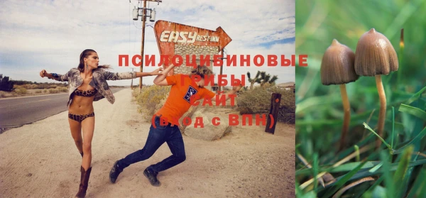 дурь Новодвинск