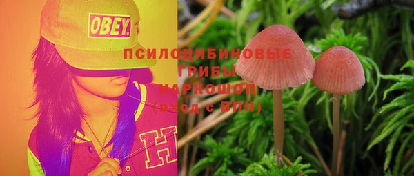 сатива Баксан